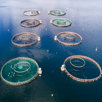 Centiki Sea Farming AIR005