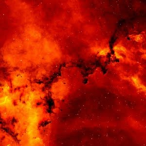 Star-clusters-in-rosette-nebula shows a black area in the middle of red stellar dust;is it dark matter?